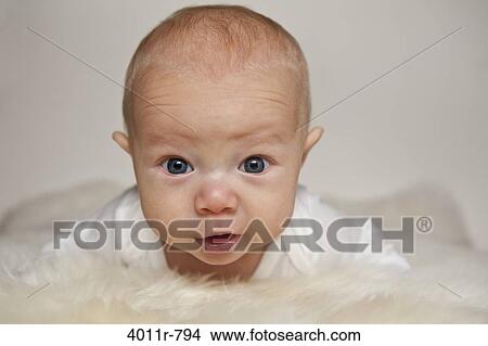 Portrait of baby boy lying on sheep fur View Large Photo Image Picture - Portrait of baby boy lying on sheep fur. Fotosearch