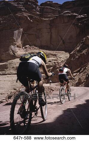 Rear view of four people cycling, Canyonlands National Park, Utah, USA View Large Photo Image Stock Photo - Rear view of four people cycling, Canyonlands National Park, Utah, USA. Fotosearch