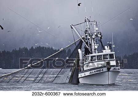 Seining for herring, Sitka Alaska View Large Photo Image Stock Photo - Seining for herring, Sitka Alaska. Fotosearch