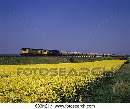 Side profile of a freight train, East Lothian, Scotland View Large Photo Image Stock Photo - Side profile of a freight train, East Lothian, Scotland. Fotosearch
