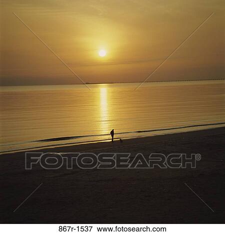 Stock Photo - Silhouette of a person walking on the beach during sunset. Fotosearch