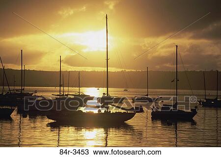 Silhouette of boats at San Diego, California, USA View Large Photo Image Stock Image - Silhouette of boats at San Diego, California, USA. Fotosearch