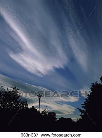Silhouette of trees and clouds in the sky View Large Photo Image Stock Photo - Silhouette of trees and clouds in the sky. Fotosearch