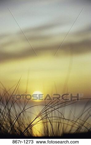 Sunset over a lake View Large Photo Image Stock Image - Sunset over a lake. Fotosearch
