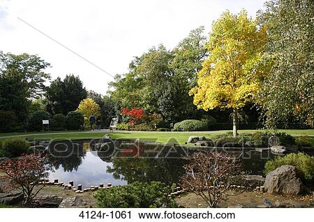 UK, London Kyoto Garden in Holland Park View Large Photo Image Stock Image - UK, London Kyoto Garden in Holland Park. Fotosearch