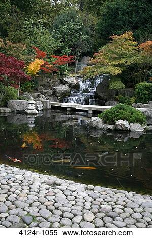 UK, London Kyoto Garden in Holland Park View Large Photo Image Stock Photography - UK, London Kyoto Garden in Holland Park. Fotosearch