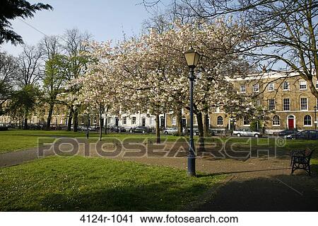 UK, London Tredegar Square garden View Large Photo Image Stock Image - UK, London Tredegar Square garden. Fotosearch