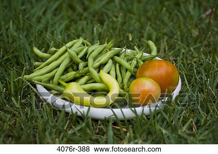 USA, Florida, Jacksonville, Organic vegetables on grass View Large Photo Image Stock Photo - USA, Florida, Jacksonville, Organic vegetables on grass. Fotosearch
