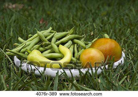 USA, Florida, Jacksonville, Organic vegetables on grass View Large Photo Image Stock Photo - USA, Florida, Jacksonville, Organic vegetables on grass. Fotosearch