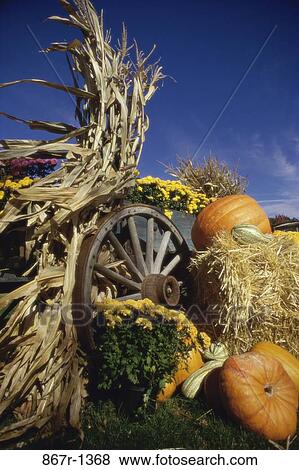 Wagon wheel near gourds and pumpkins View Large Photo Image Stock Photo - Wagon wheel near gourds and pumpkins. Fotosearch