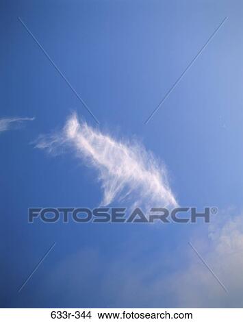 Wispy clouds in a blue sky View Large Photo Image Picture - Wispy clouds in a blue sky. Fotosearch