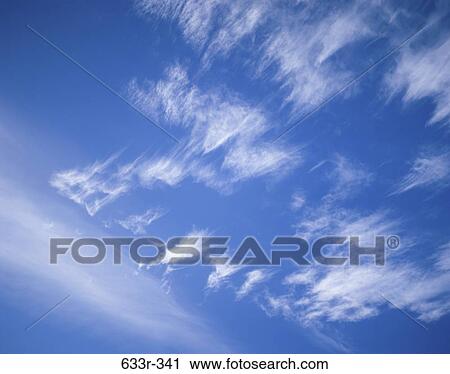 Wispy clouds in a blue sky View Large Photo Image Stock Image - Wispy clouds in a blue sky. Fotosearch