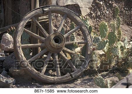 Wooden wagon wheel in front of a cactus View Large Photo Image Stock Photography - Wooden wagon wheel in front of a cactus. Fotosearch