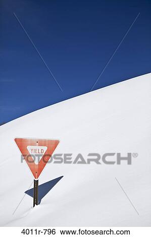 Yield sign buried in snow View Large Photo Image Stock Photograph - Yield sign buried in snow. Fotosearch