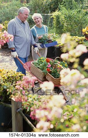 Stock Image - Senior couple working in a garden. Fotosearch