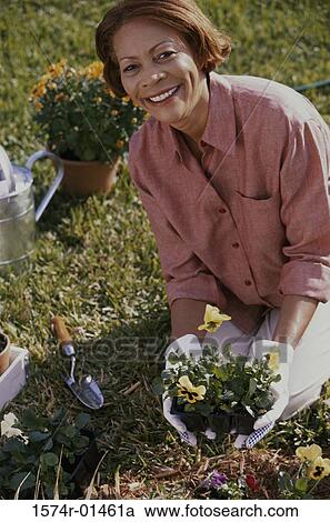 Senior woman working in a garden View Large Photo Image Stock Image - Senior woman working in a garden. Fotosearch