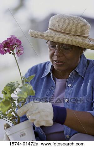 Stock Image - Senior woman working in a garden. Fotosearch
