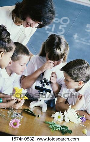 Students looking through a microscope in a classroom View Large Photo Image Stock Image - Students looking through a microscope in a classroom. Fotosearch