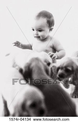 Baby boy playing with puppies View Large Photo Image Picture - Baby boy playing with puppies. Fotosearch