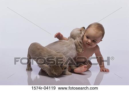 Baby boy playing with puppies View Large Photo Image Stock Photo - Baby boy playing with puppies. Fotosearch
