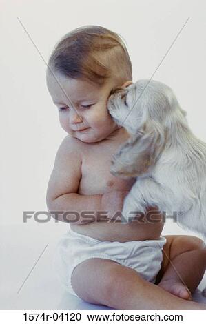 Puppy licking a baby boy's face View Large Photo Image Stock Image - Puppy licking a baby boy's face. Fotosearch