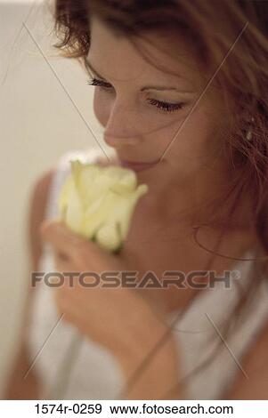Young woman holding a rose View Large Photo Image Stock Photo - Young woman holding a rose. Fotosearch