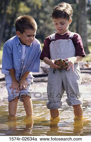 Stock Image - Two boys standing in water holding a turtle. Fotosearch