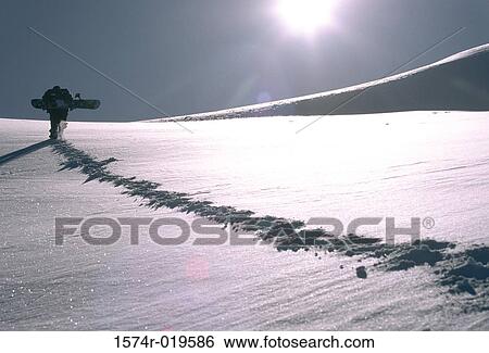 Rear view of a person carrying a snowboard View Large Photo Image Stock Photograph - Rear view of a person carrying a snowboard. Fotosearch