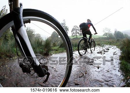 Rear view of a person mountain biking View Large Photo Image Stock Photograph - Rear view of a person mountain biking. Fotosearch
