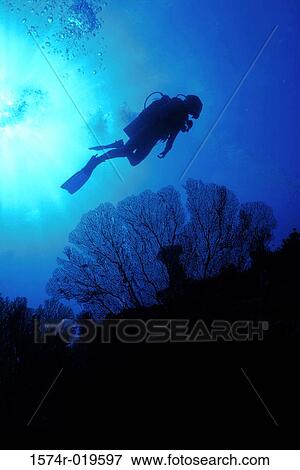 Silhouette of a scuba diver underwater View Large Photo Image Stock Photo - Silhouette of a scuba diver underwater. Fotosearch