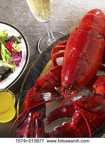 Lobster View Large Photo Image Stock Photo - Lobster. Fotosearch