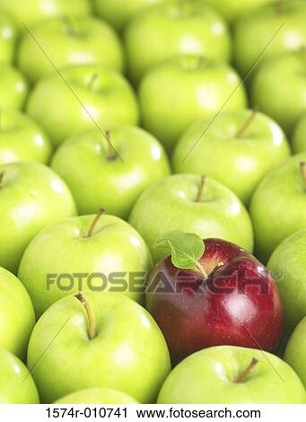 Apples View Large Photo Image Stock Image - Apples. Fotosearch