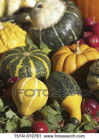 Assorted vegetables View Large Photo Image Stock Image - Assorted vegetables. Fotosearch