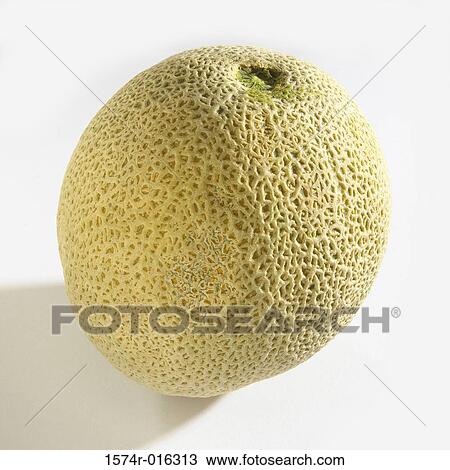 Cantaloupe View Large Photo Image Stock Image - Cantaloupe. Fotosearch