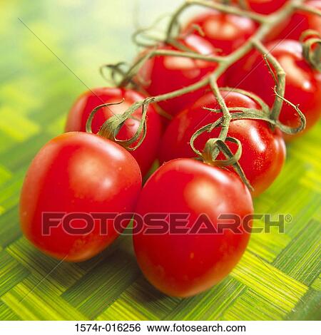 Cherry Tomatoes View Large Photo Image Stock Photograph - Cherry Tomatoes. Fotosearch