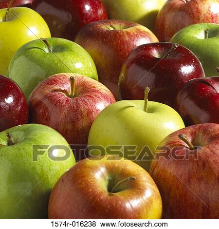 Close-up of apples View Large Photo Image Stock Photo - Close-up of apples. Fotosearch