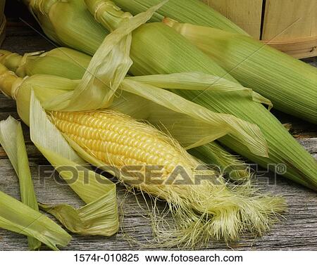 Close-up of corn on the cob View Large Photo Image Stock Photography - Close-up of corn on the cob. Fotosearch