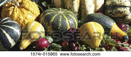 Close-up of gourds and squash View Large Photo Image Stock Photography - Close-up of gourds and squash. Fotosearch