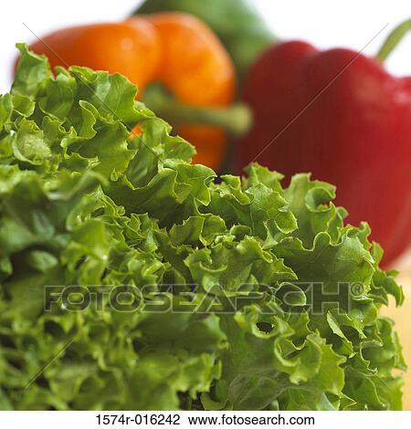 Close-up of lettuce View Large Photo Image Stock Image - Close-up of lettuce. Fotosearch