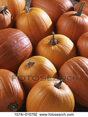 Close-up of pumpkins View Large Photo Image Stock Image - Close-up of pumpkins. Fotosearch