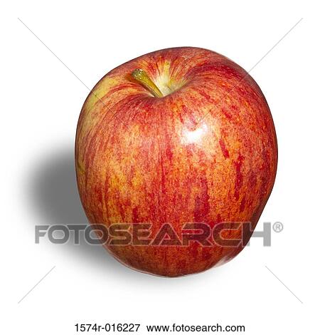 Gala Apple View Large Photo Image Stock Photo - Gala Apple. Fotosearch