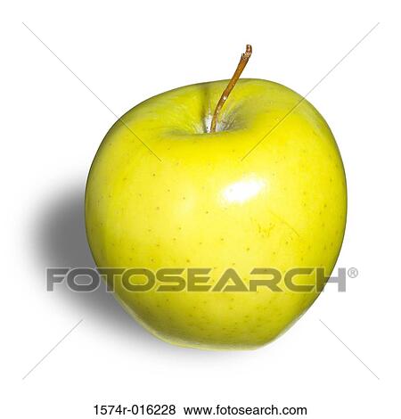 Golden Delicious Apple View Large Photo Image Stock Photo - Golden Delicious Apple. Fotosearch