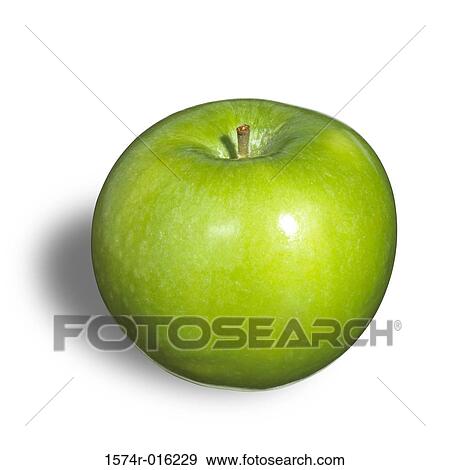 Granny Smith Apple View Large Photo Image Stock Photo - Granny Smith Apple. Fotosearch
