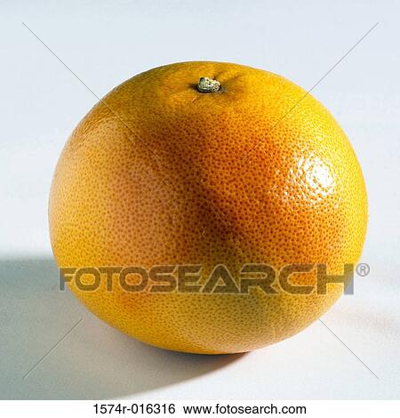 Grapefruit View Large Photo Image Stock Photograph - Grapefruit. Fotosearch