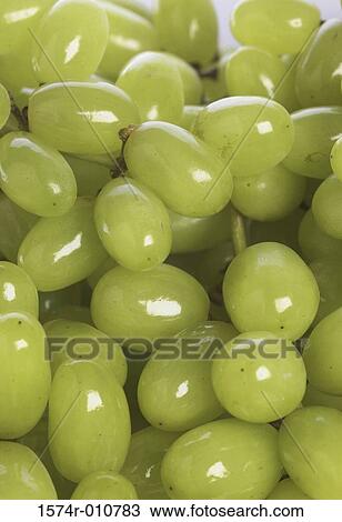 Grapes View Large Photo Image Stock Image - Grapes. Fotosearch