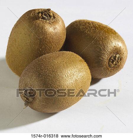 Kiwi View Large Photo Image Stock Photo - Kiwi. Fotosearch