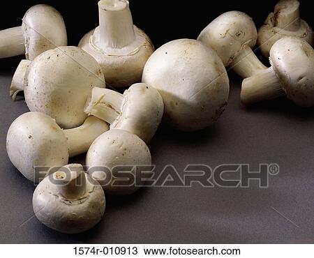 Mushrooms View Large Photo Image Stock Image - Mushrooms. Fotosearch