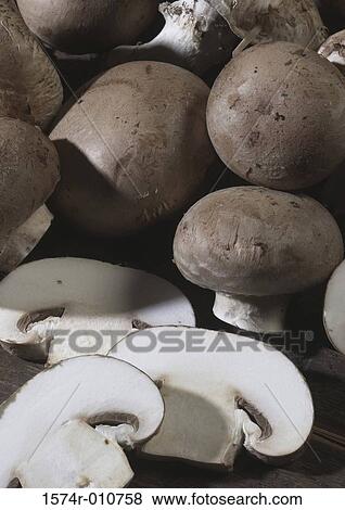 Mushrooms View Large Photo Image Stock Photo - Mushrooms. Fotosearch