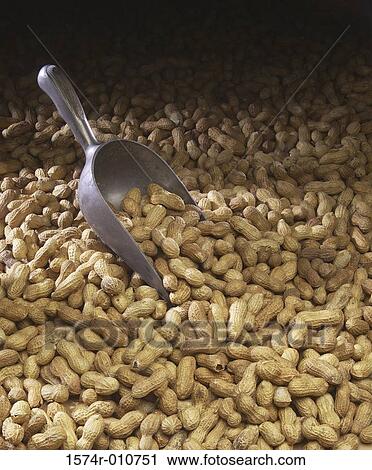 Peanuts View Large Photo Image Stock Image - Peanuts. Fotosearch