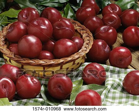 Plums View Large Photo Image Stock Photo - Plums. Fotosearch